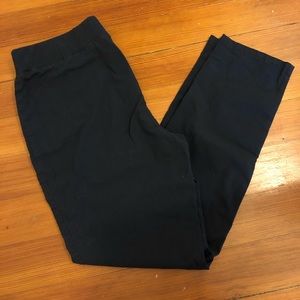 The Limited exact stretch pants